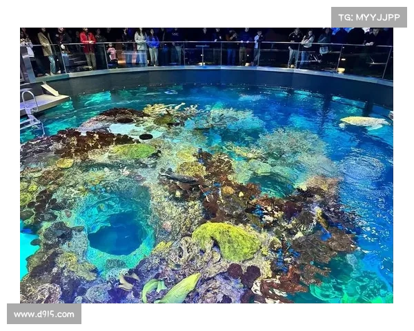 水域探险:水族馆终极攻略指南 水域探险:水族馆终极攻略指南