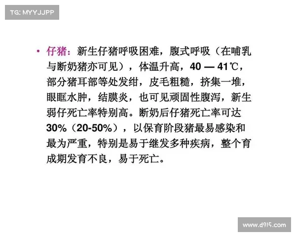 猪传染病治疗攻略:有效方法揭秘 猪传染病治疗攻略:有效方法揭秘